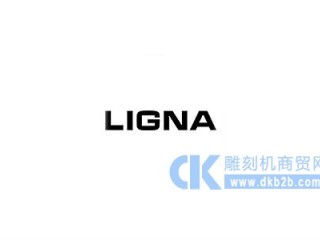 德国汉诺威木工机械展览会LIGNA